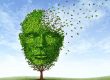 health insurance and alzheimers