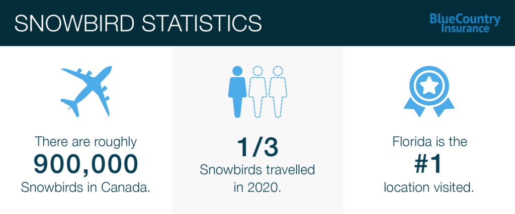 snowbird travel insurance alberta