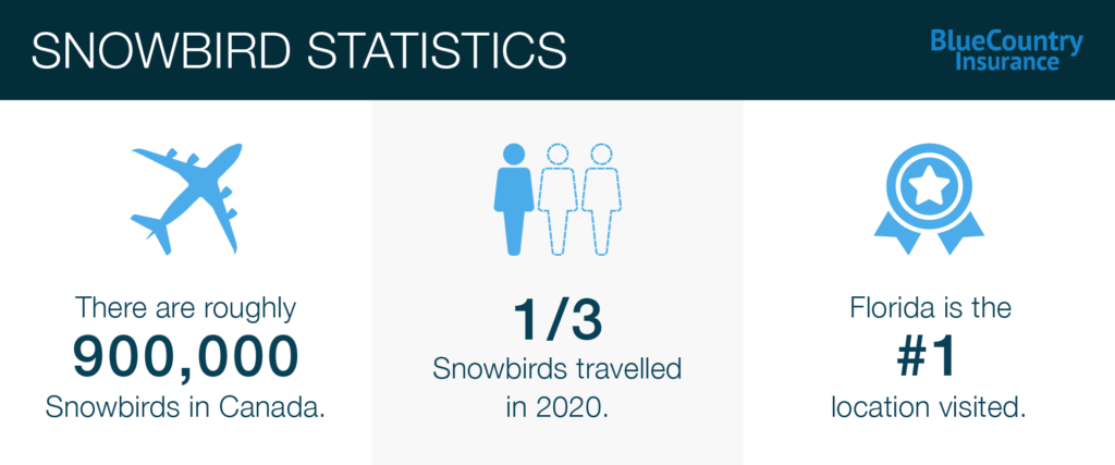 how much is snowbird travel insurance